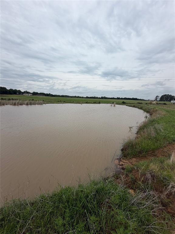 1247549 Property Photo 10