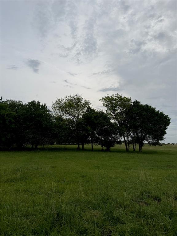 1247549 Property Photo 11