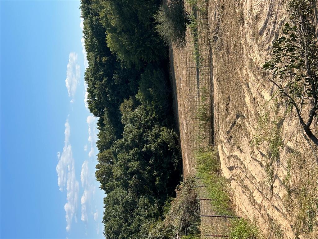 11829 Little Road Property Photo 29