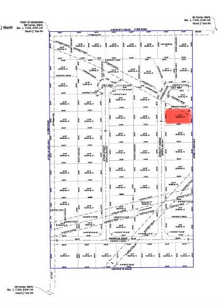 25161 Scarlett Street Property Photo 3