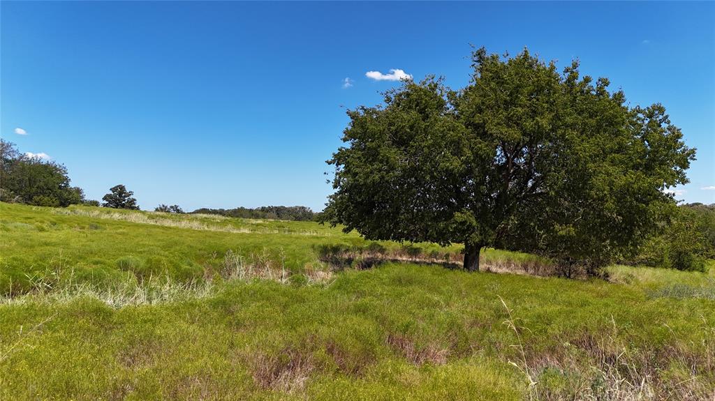 000 3625 Road Property Photo 12