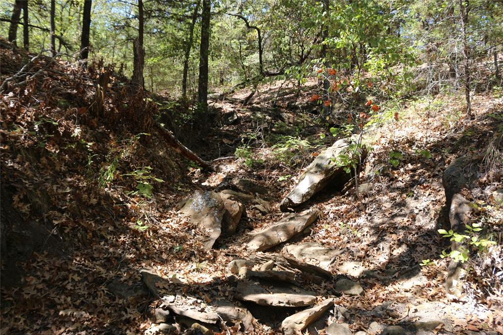 000 3625 Road Property Photo 24