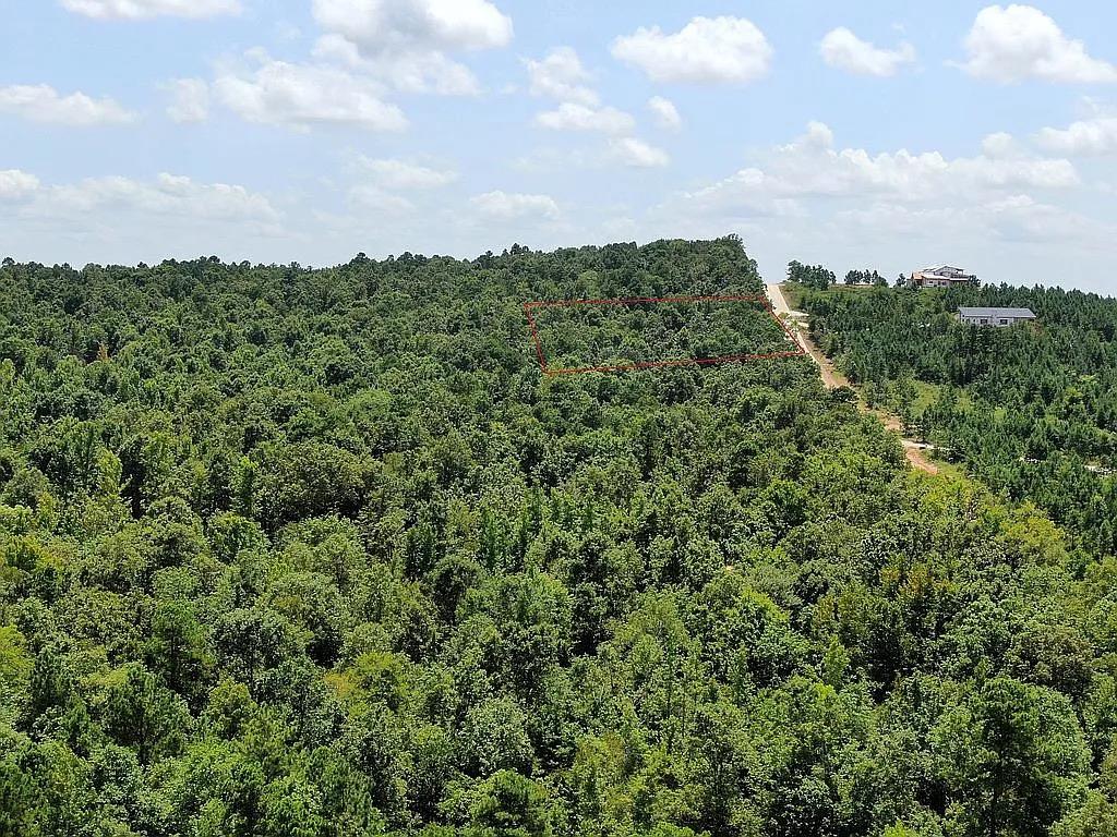 622 Woodland Bluff Trail Property Photo 6