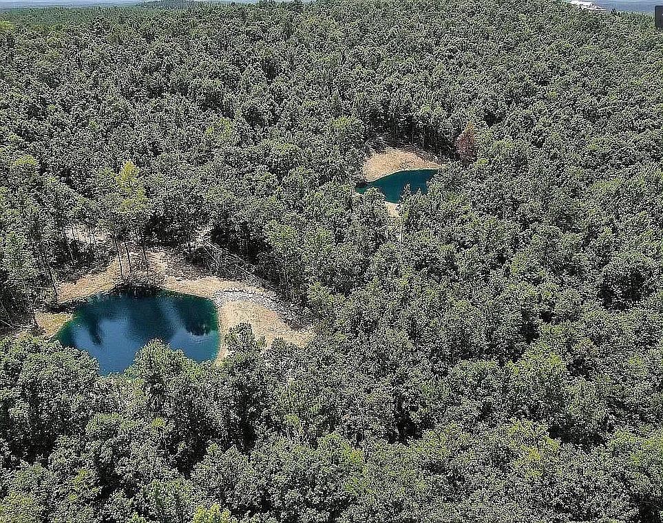 622 Woodland Bluff Trail Property Photo 7