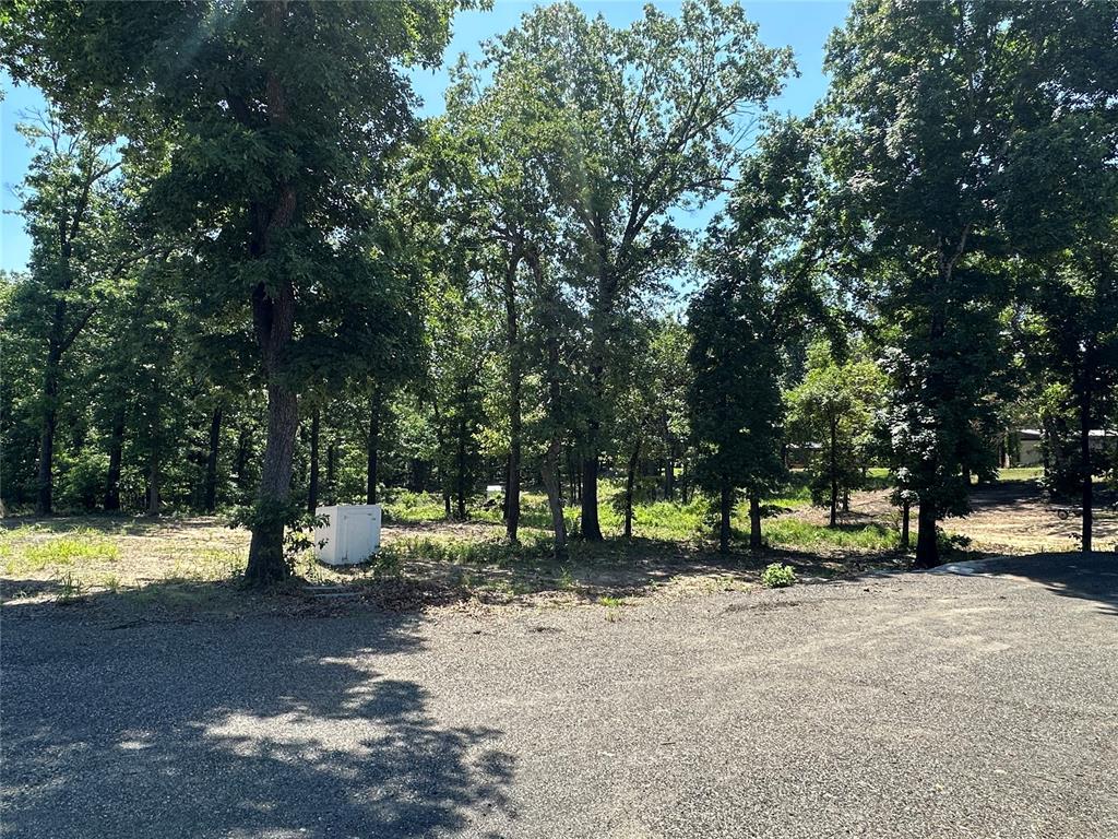000 1154 Loop Property Photo 4
