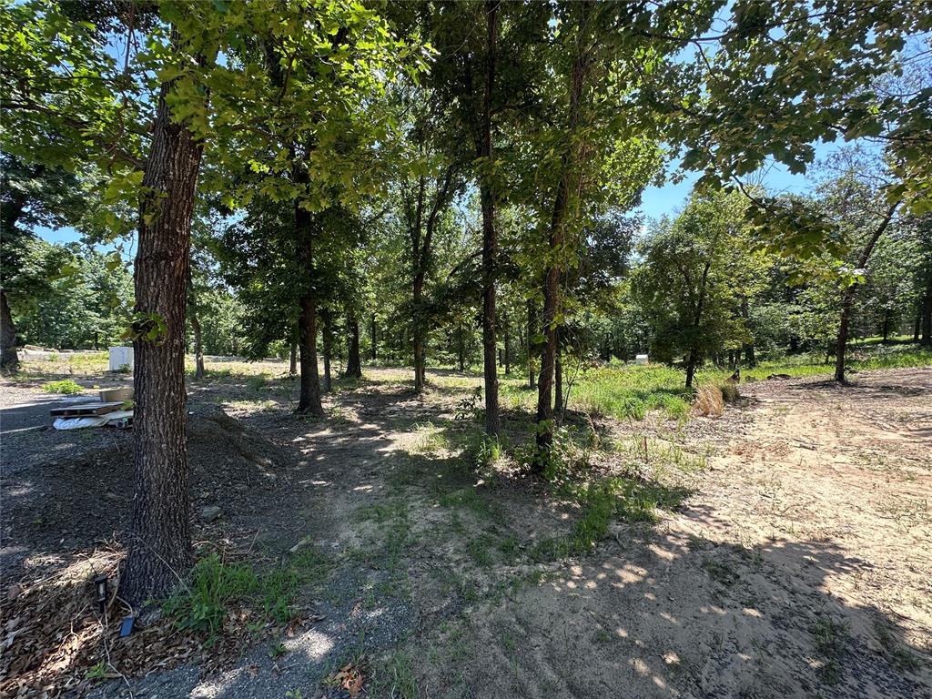 000 1154 Loop Property Photo 6