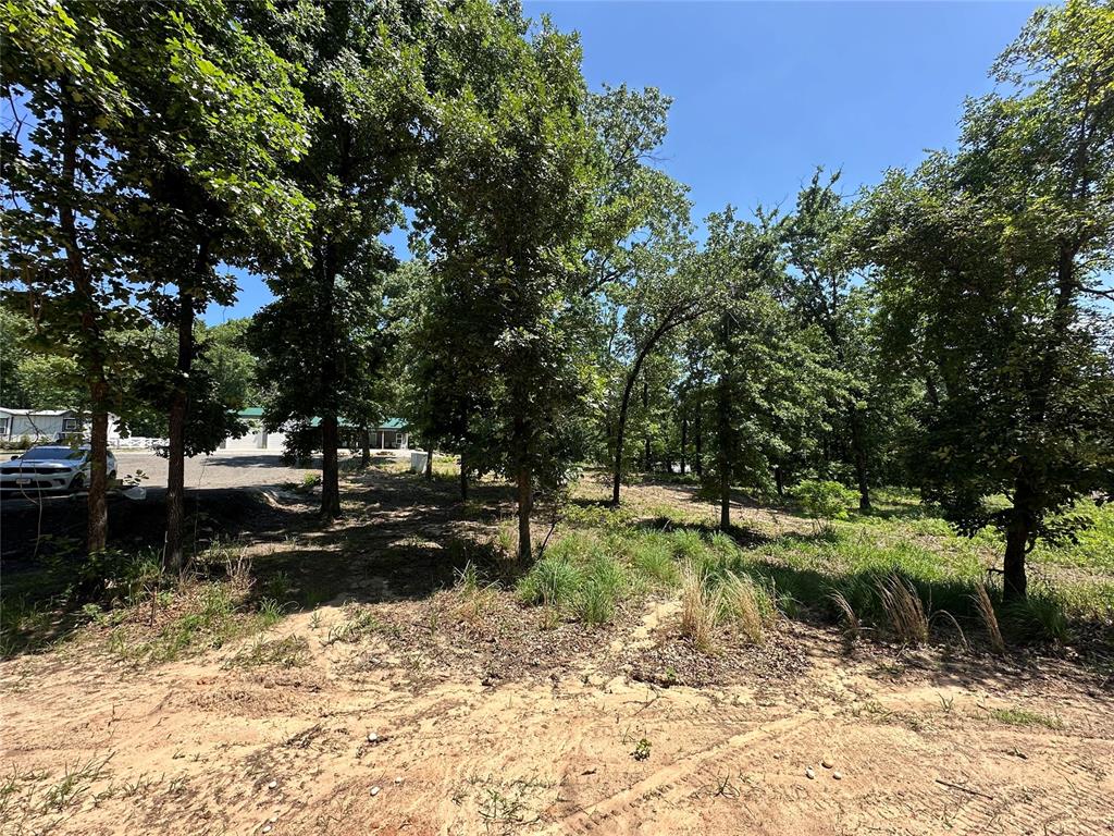 000 1154 Loop Property Photo 7