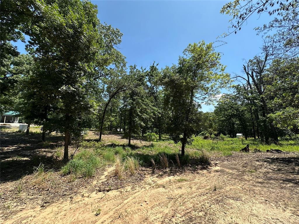 000 1154 Loop Property Photo 8