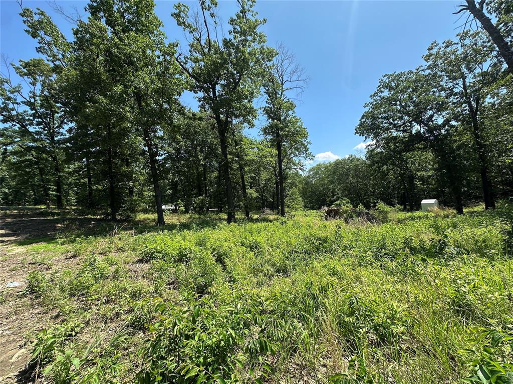 000 1154 Loop Property Photo 11