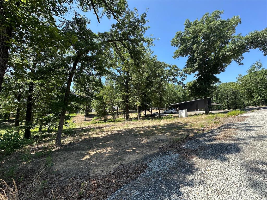 000 1154 Loop Property Photo 12