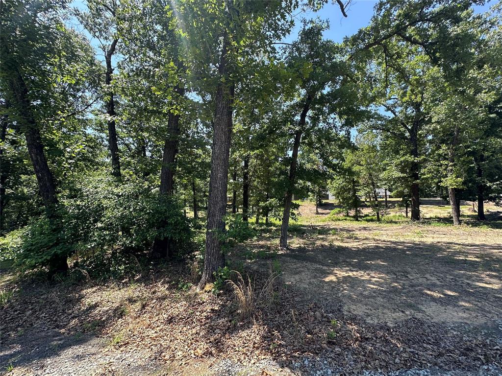 000 1154 Loop Property Photo 13