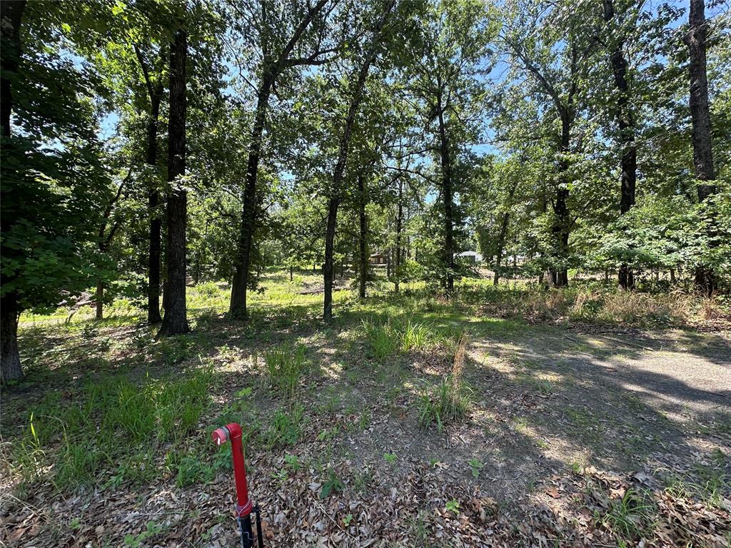 000 1154 Loop Property Photo 14