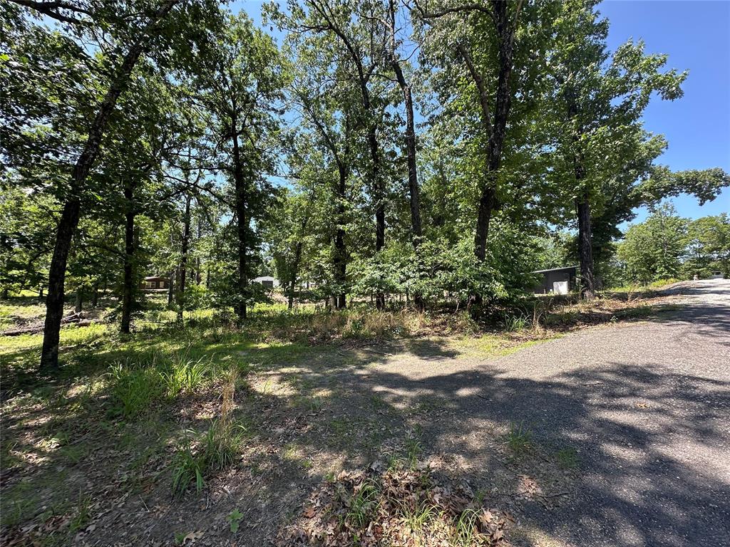 000 1154 Loop Property Photo 15