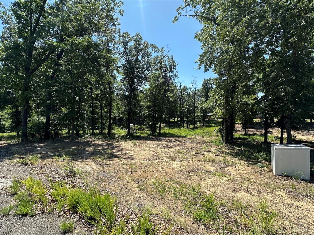 000 1154 Loop Property Photo 16