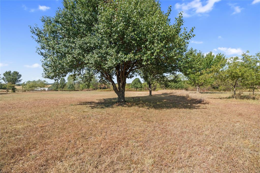 1444 County Street 2970 Property Photo 31