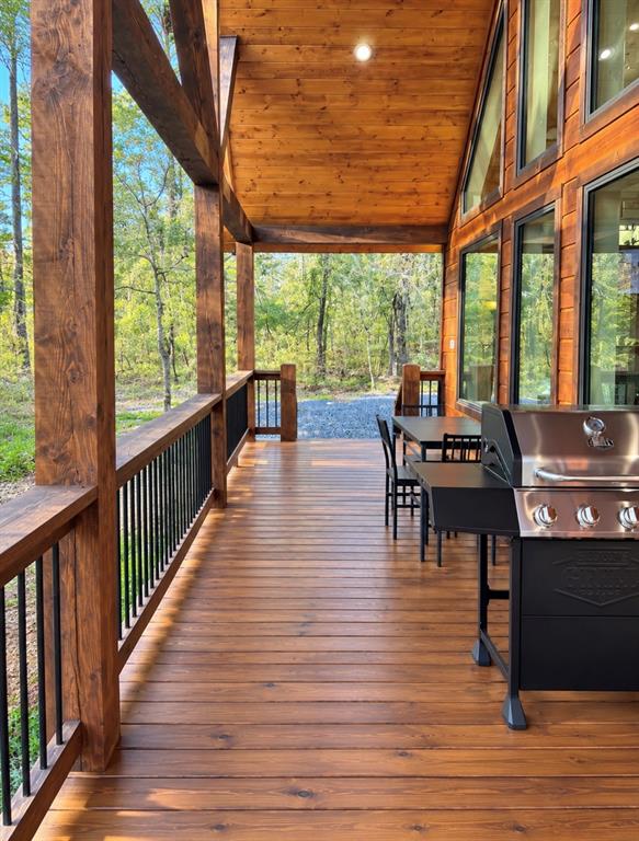 139 Fiery Fern Trail Property Photo 20