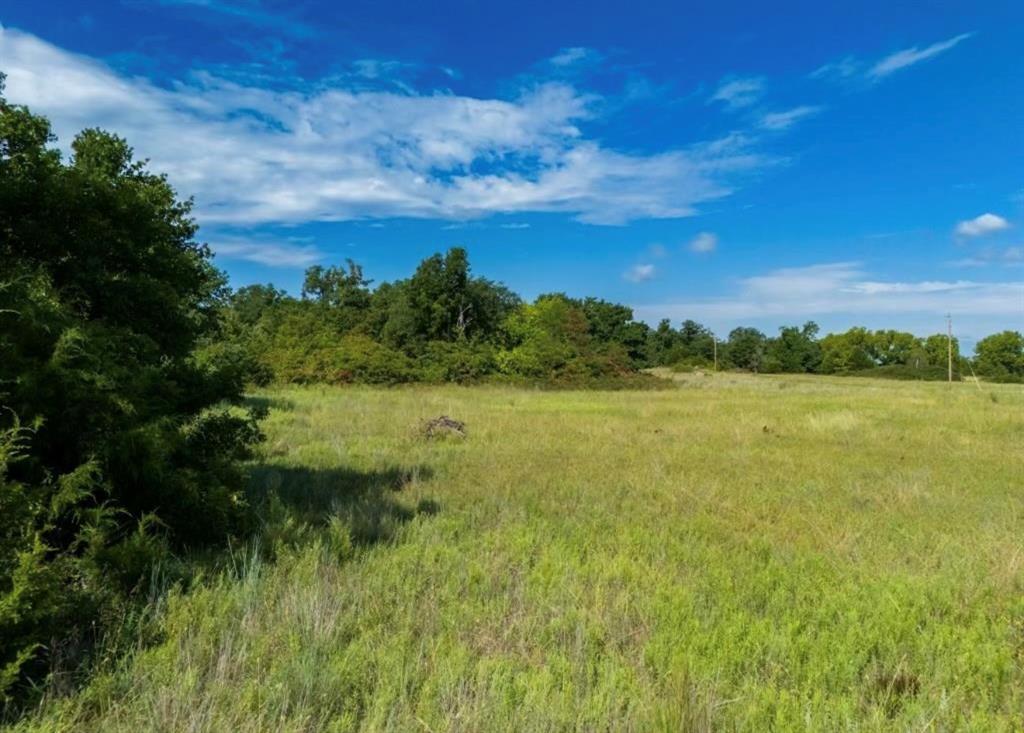 16244 Patterson Road Property Photo 13