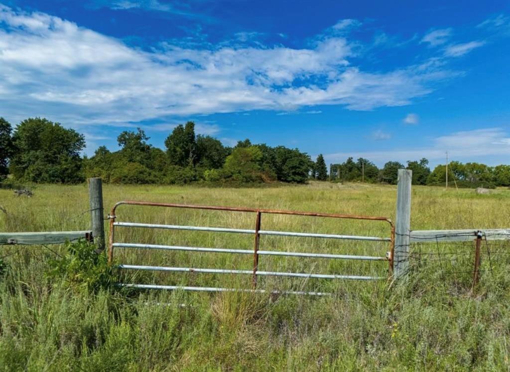 16244 Patterson Road Property Photo 14