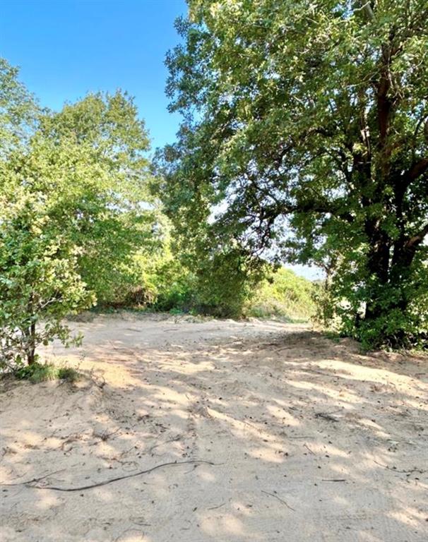 16244 Patterson Road Property Photo 17