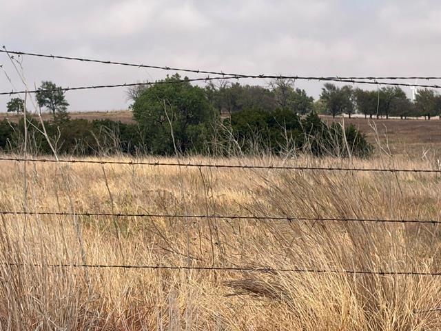 23165 E 1020 Road Property Photo 9
