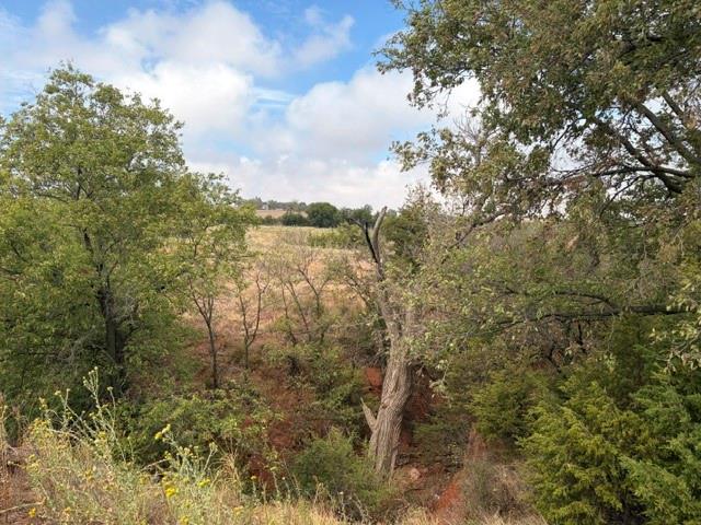 23165 E 1020 Road Property Photo 11
