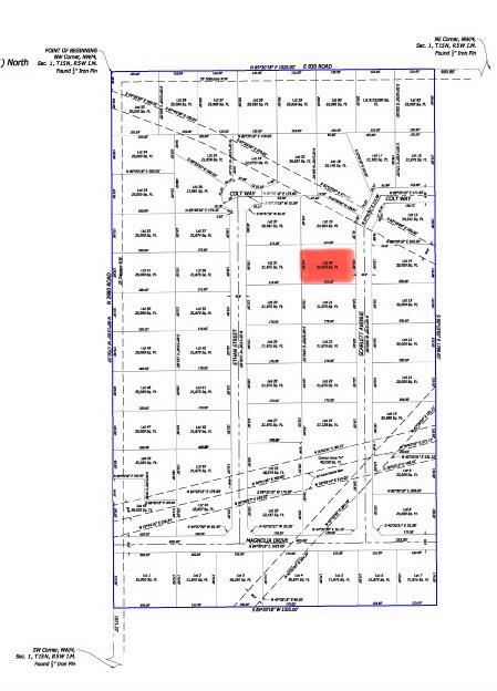 25164 Scarlett Street Property Photo 2
