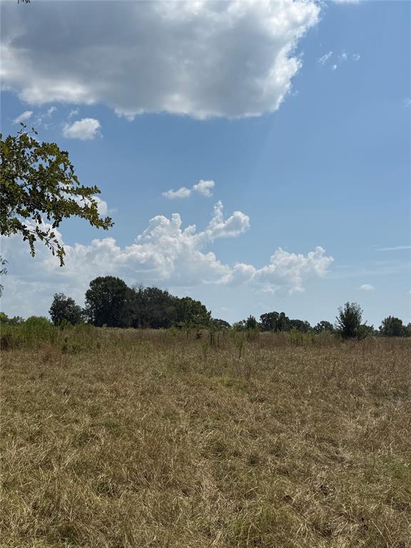 764 Wilmoth Road Property Photo 1