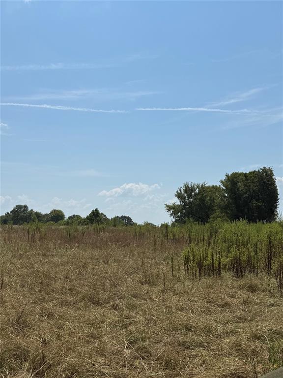 764 Wilmoth Road Property Photo 2