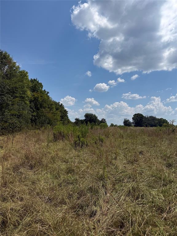 764 Wilmoth Road Property Photo 3