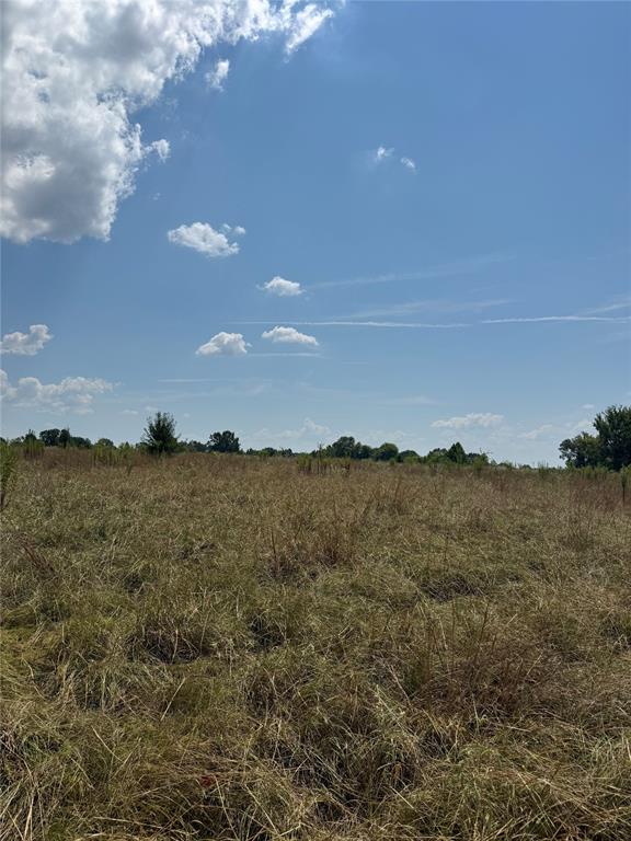 764 Wilmoth Road Property Photo 4
