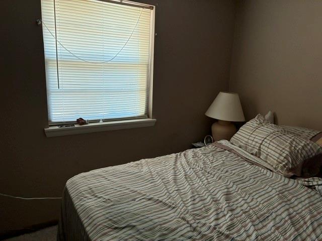 419 Olive Boulevard Property Photo 9