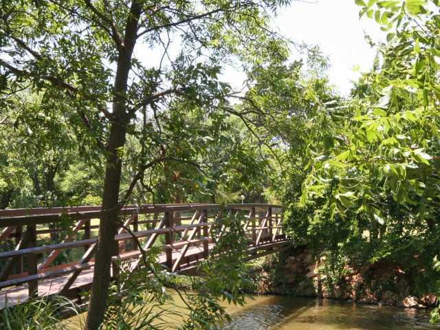 8900 Sheringham Drive Property Photo 5