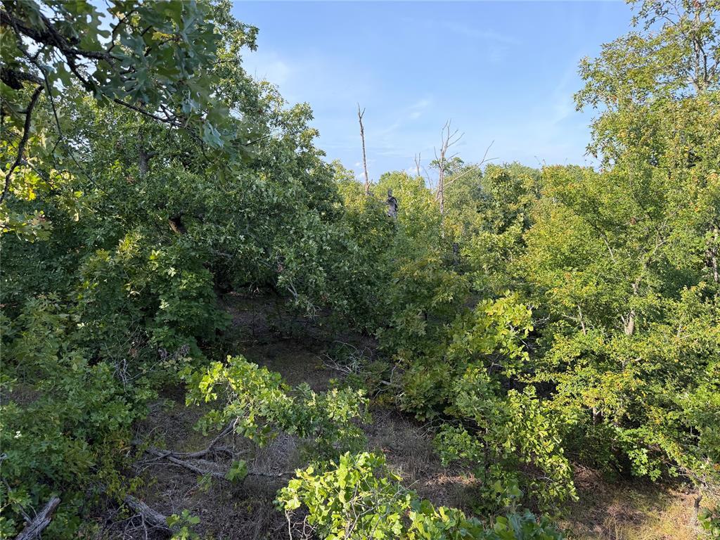 36200 Ew 1190 Road Property Photo 14