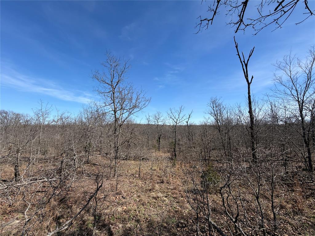 36200 Ew 1190 Road Property Photo 16