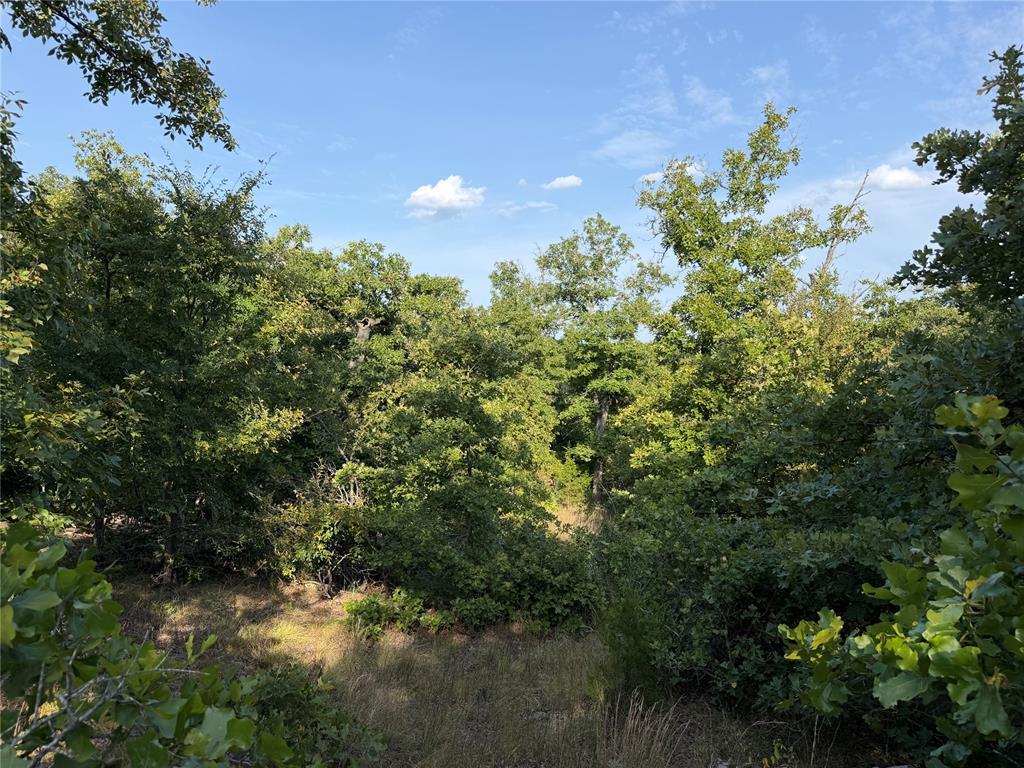 36200 Ew 1190 Road Property Photo 20