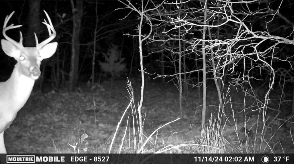 36200 Ew 1190 Road Property Photo 22