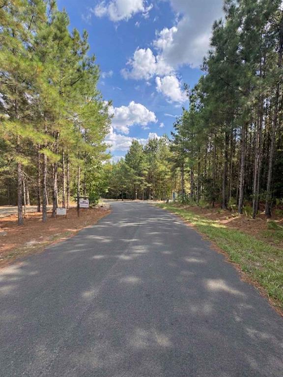 131 S Spruce Trail Property Photo 1