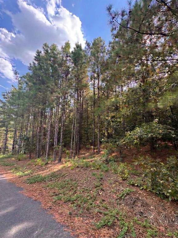 131 S Spruce Trail Property Photo 2