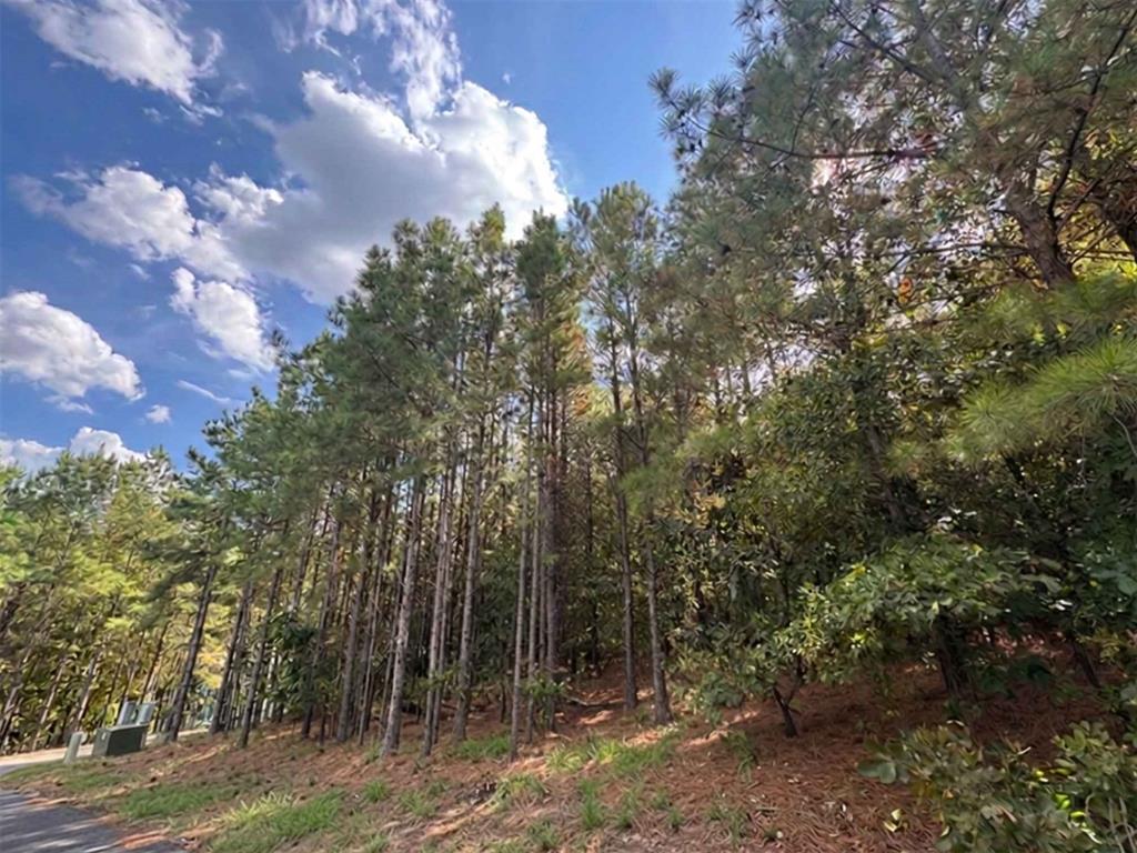 131 S Spruce Trail Property Photo 3