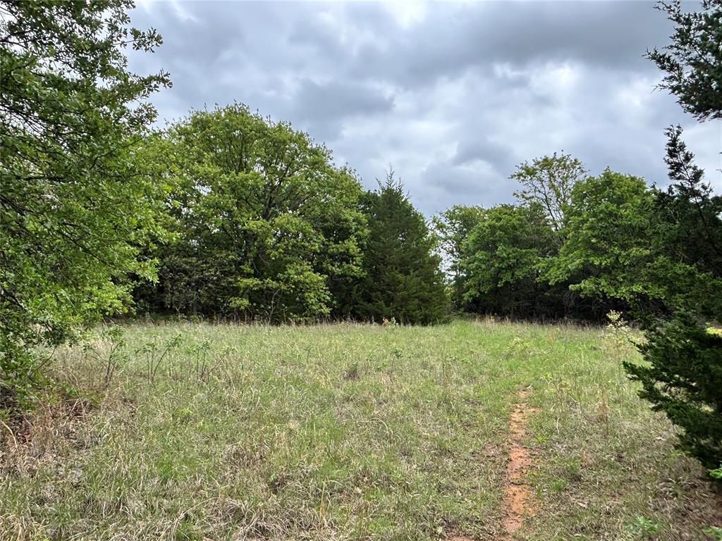 38291 Lonesome Dove Road Property Photo 1