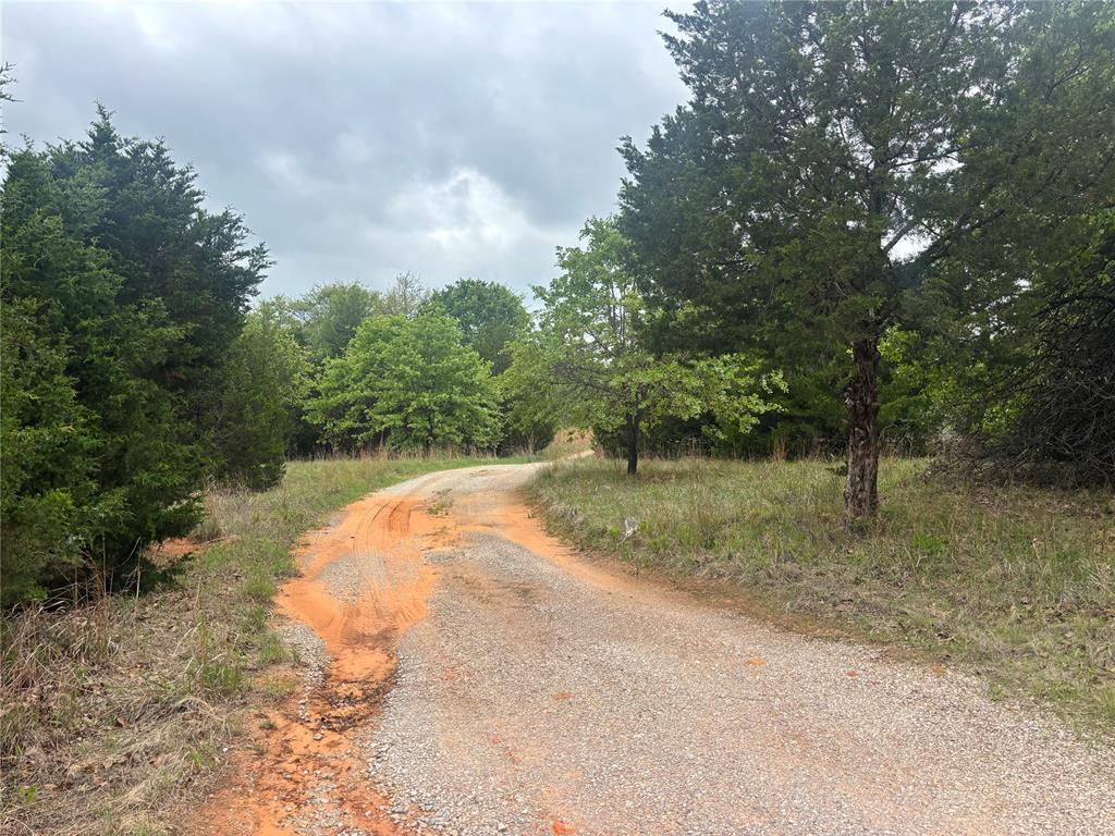 38291 Lonesome Dove Road Property Photo 2