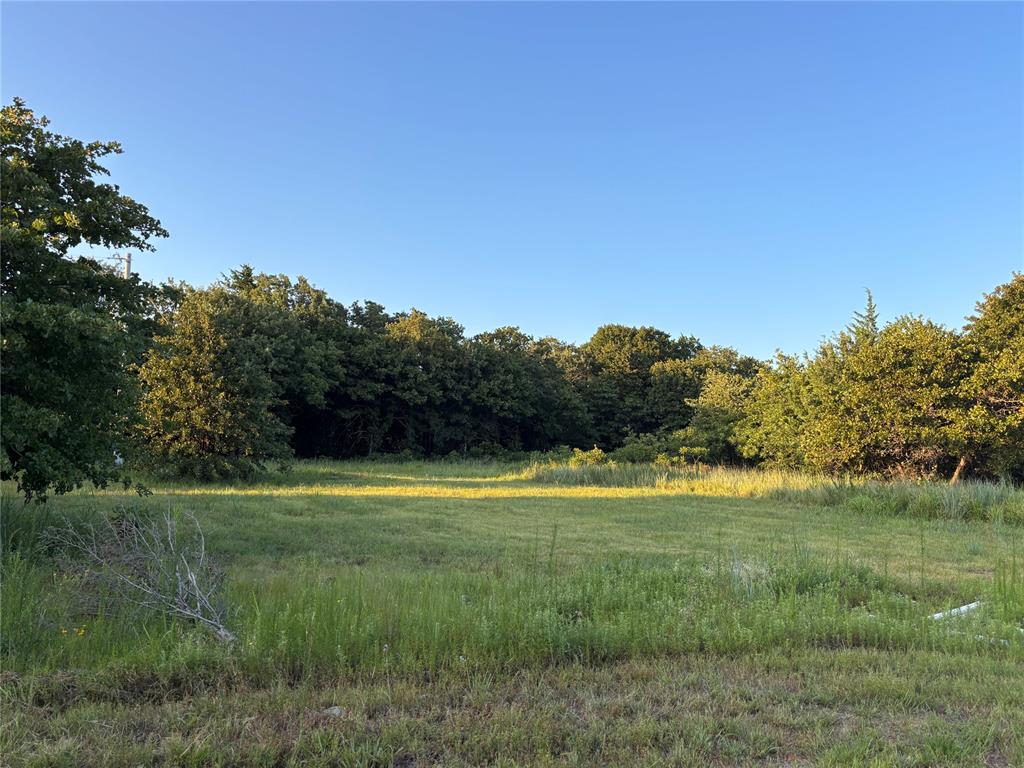 38291 Lonesome Dove Road Property Photo 3