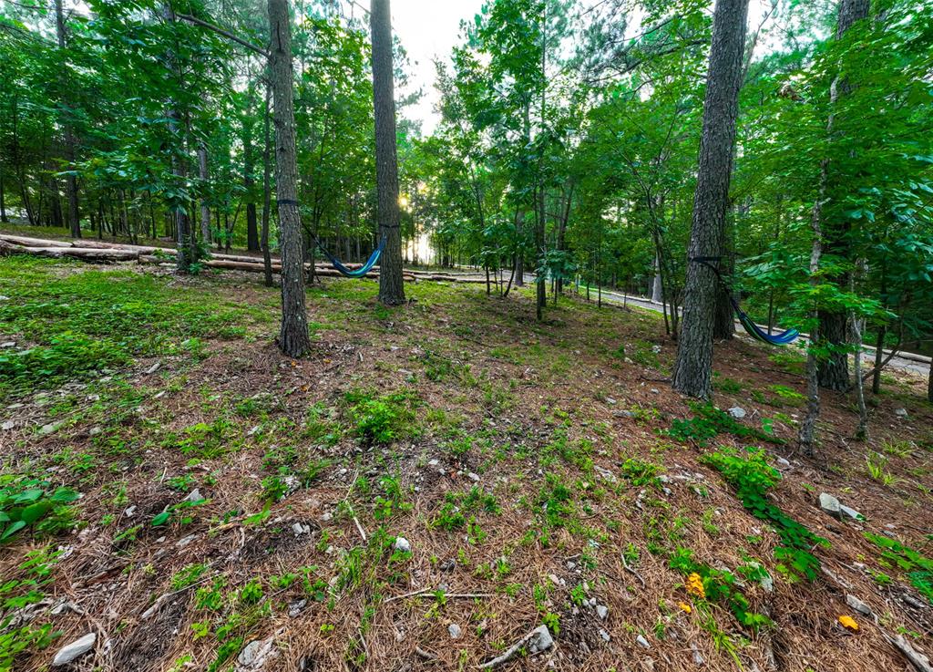 1322 Sugarberry Trail Property Photo 39