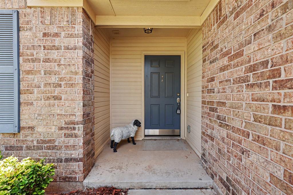 19104 Visto Drive Property Photo 3
