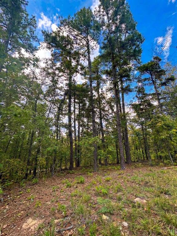 1054 Carter Mountain Trail Property Photo 2