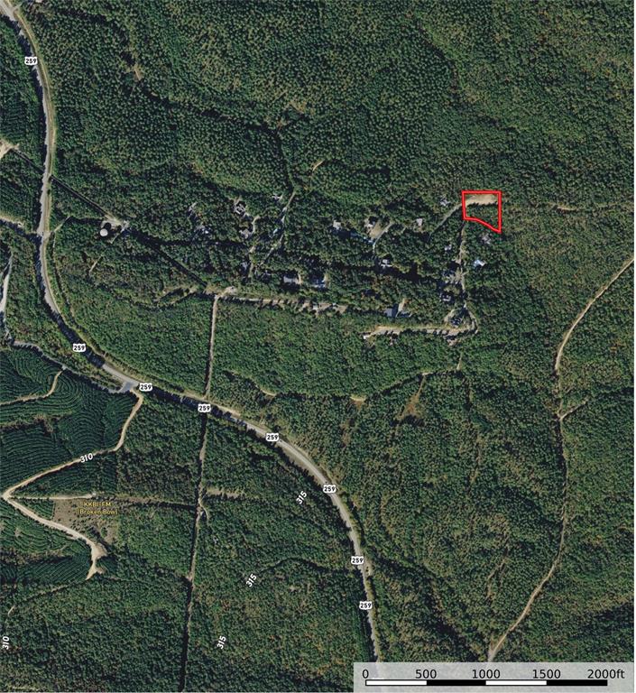 1054 Carter Mountain Trail Property Photo 3