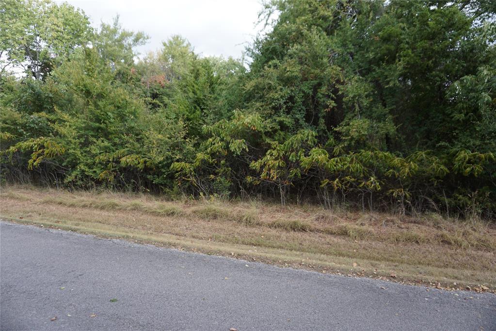 1935 Live Oak Drive Property Photo 3