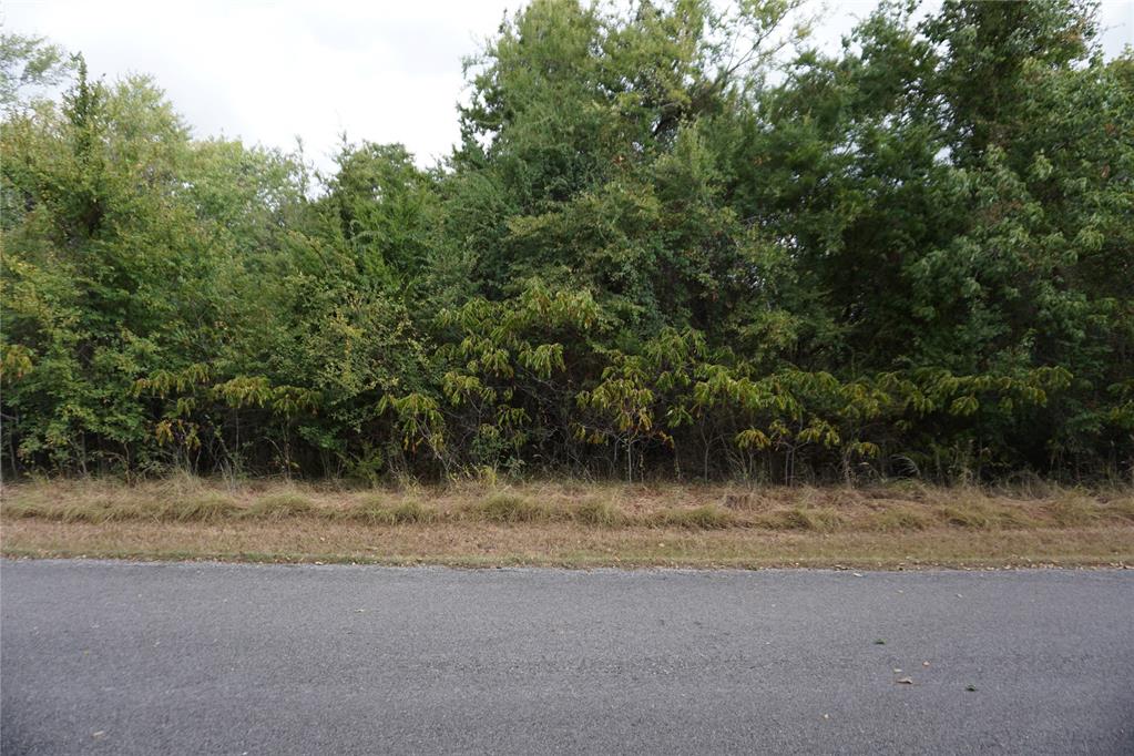 1935 Live Oak Drive Property Photo 4