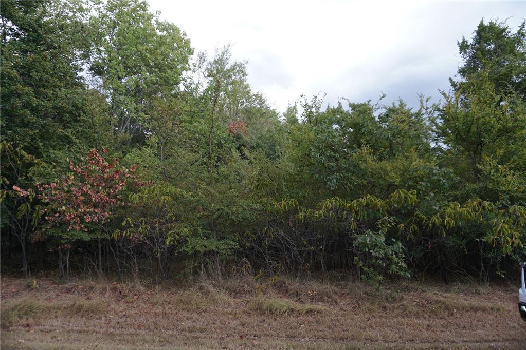 1935 Live Oak Drive Property Photo 6