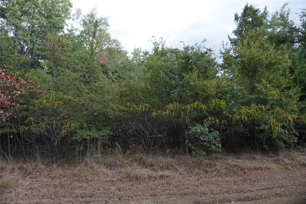 1935 Live Oak Drive Property Photo 7